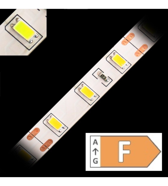 Taśma LED TL-5630CW60-122005 PREM. biala zimna zwykła 12V IP20 5m/r  10PCBD