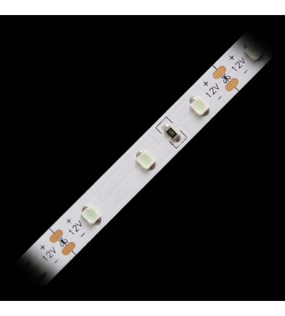 Taśma LED TL-3528B60-05 niebieska zwykła 12V IP20 5m/r  8PCBS 01-005