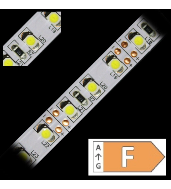 Taśma LED TL-3528CW120-50 biała zimna zwykła 12V 9,6W/m IP20 50m/r  8PCBD 01-050