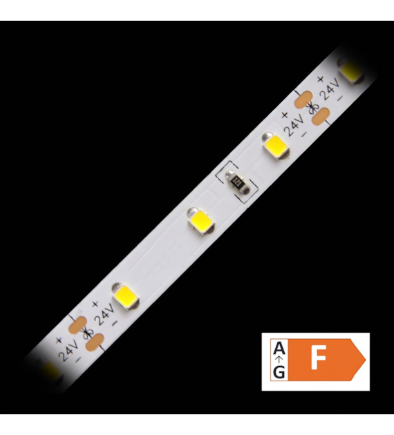 Taśma LED TL24V-2835CW60-242050 biała zimna zwykła 24V IP20 50m/r  8PCBD